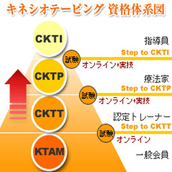 キネシオテーピング資格体系図